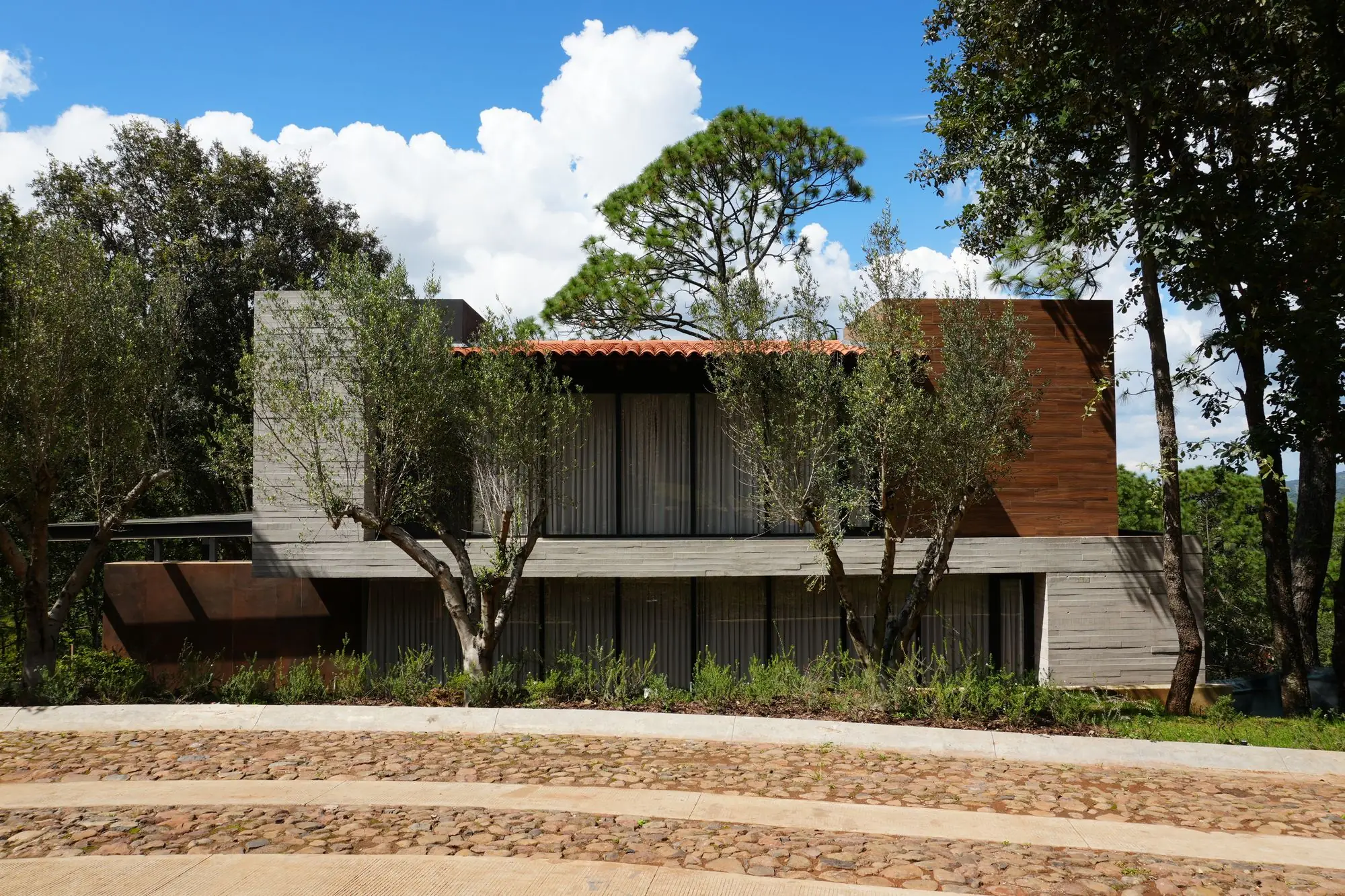 Casa de concreto y madera rodeada de árboles